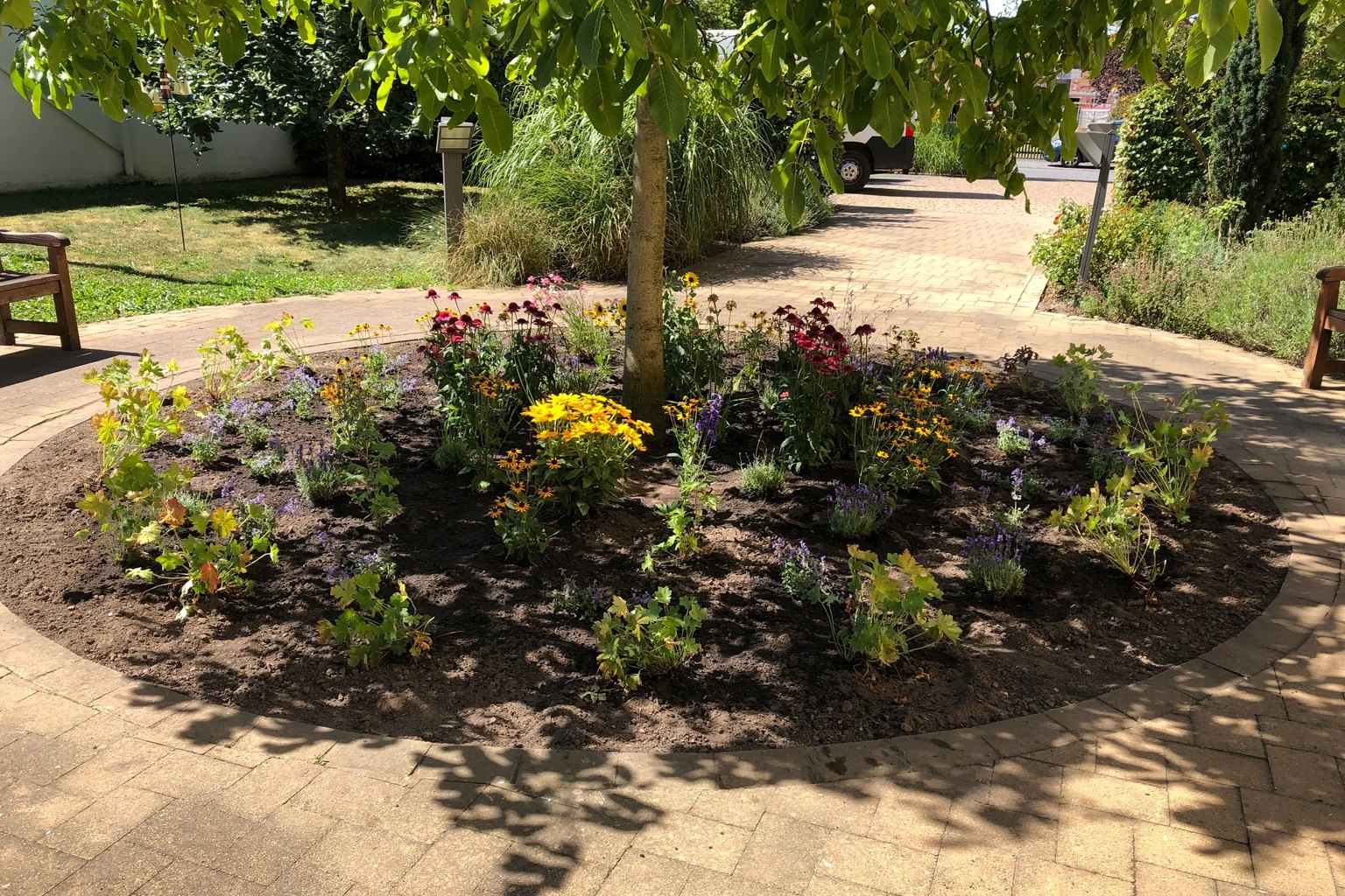 Neu angelegtes Staudenbeet unter einem Baum von SH Gartenservice GbR
