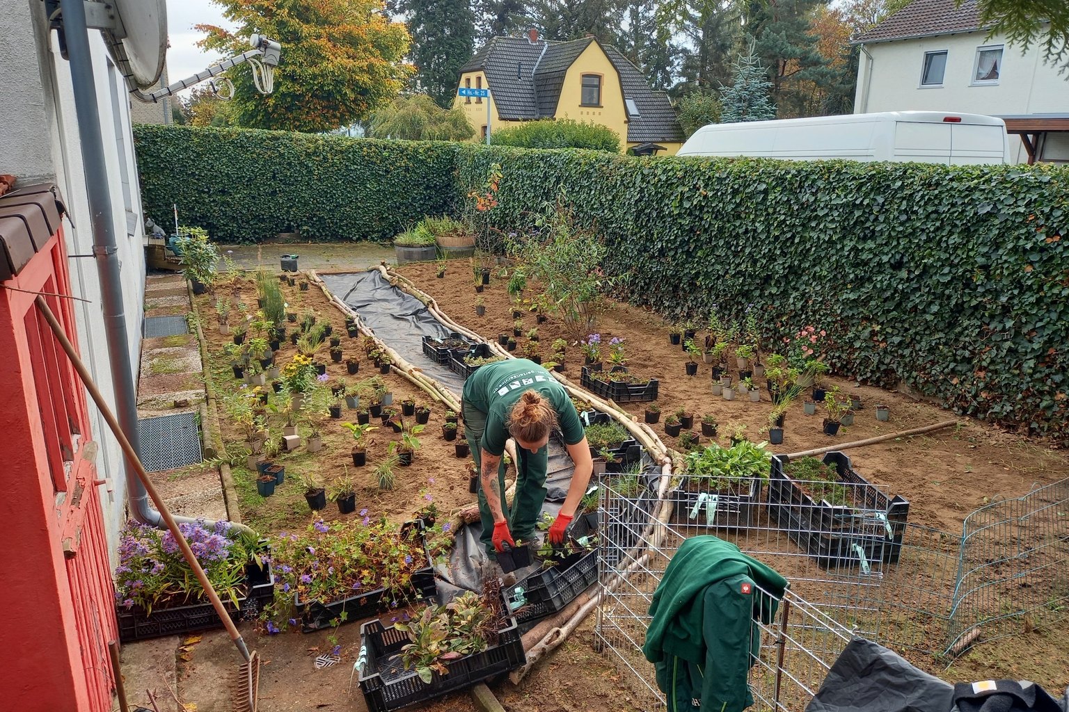 Anlage einer vielfältigen Staudenpflanzung durch SH Gartenservice GbR