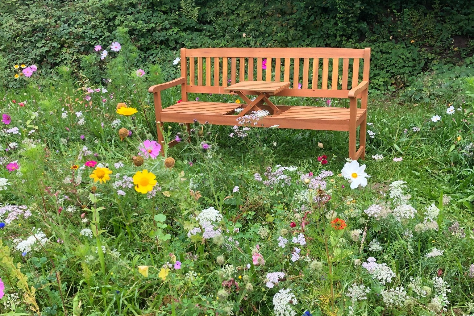 Blühende Wildblumenfläche mit Sitzbank in einem naturnah gestalteten Außenbereich